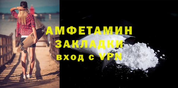 шишки Новодвинск