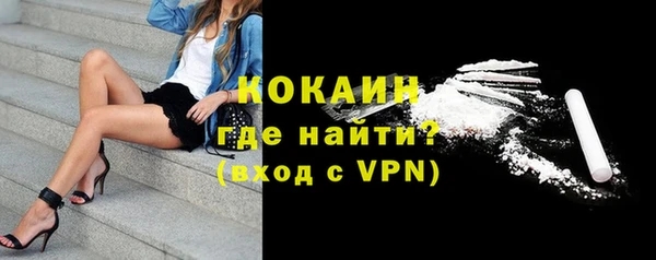 шишки Новодвинск