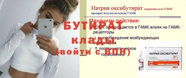 шишки Новодвинск