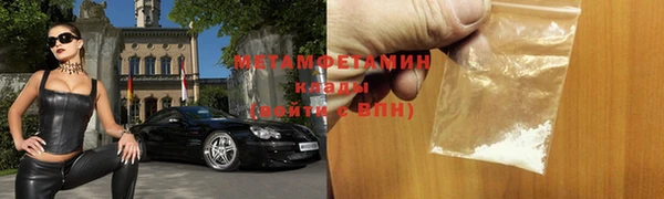 шишки Новодвинск