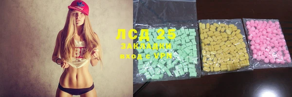 шишки Новодвинск
