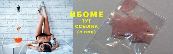 шишки Новодвинск