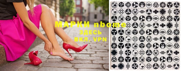 шишки Новодвинск