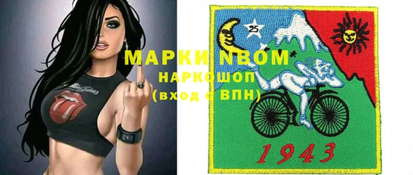 шишки Новодвинск