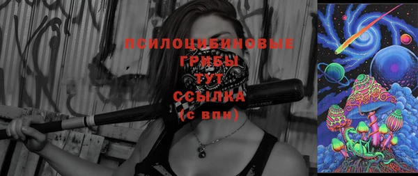 ПСИЛОЦИБИНОВЫЕ ГРИБЫ Новокубанск