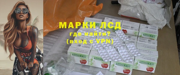 шишки Новодвинск