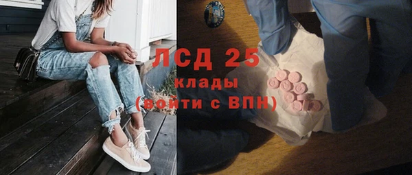 шишки Новодвинск