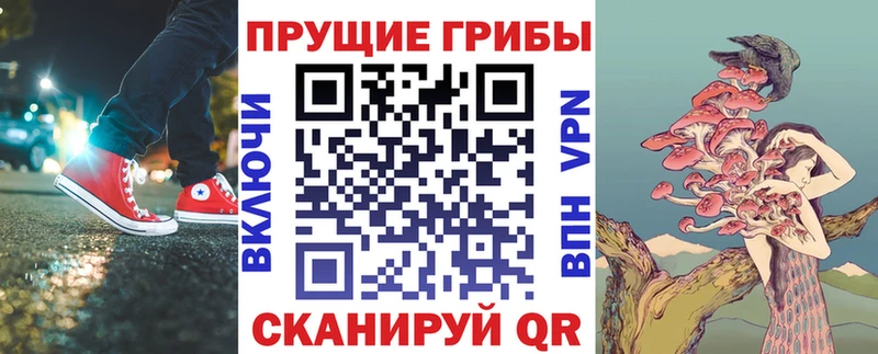 Псилоцибиновые грибы Psilocybe  Ува 